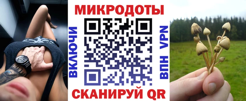купить наркотики сайты  Питкяранта  Галлюциногенные грибы Psilocybine cubensis 
